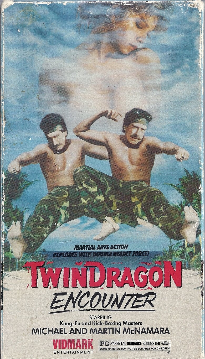 Poster of Twin Dragon Encounter