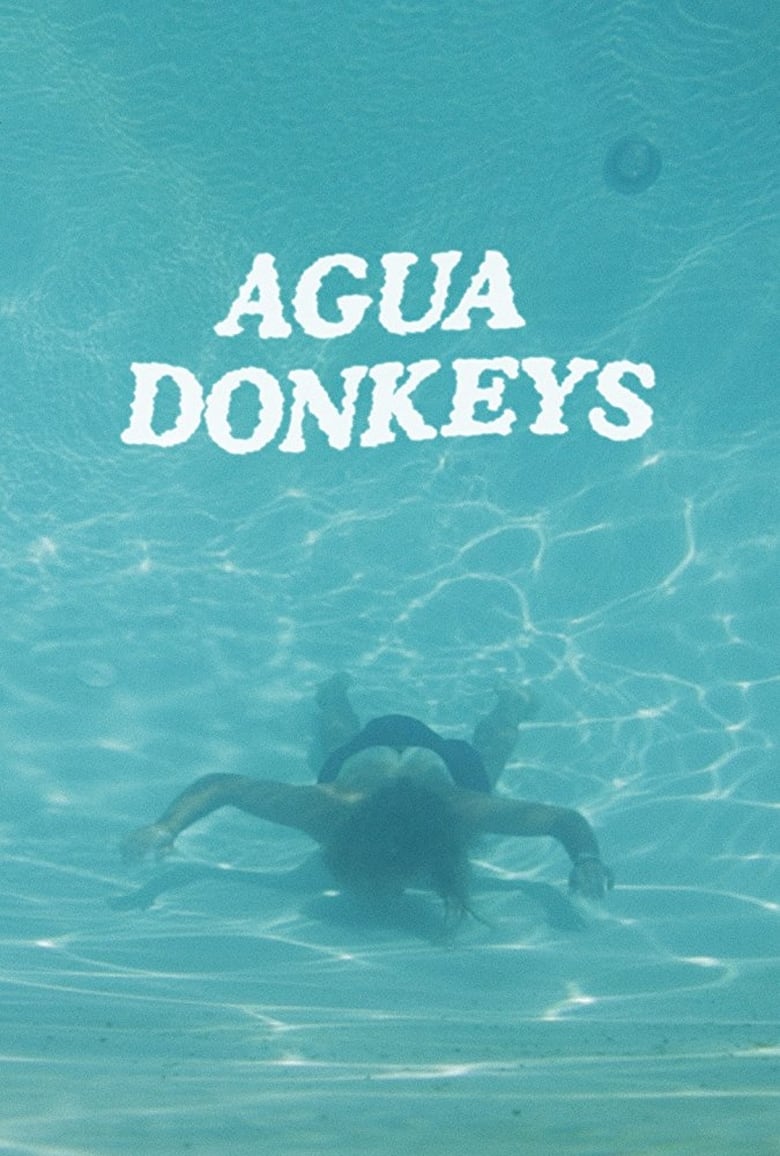 Poster of Agua Donkeys