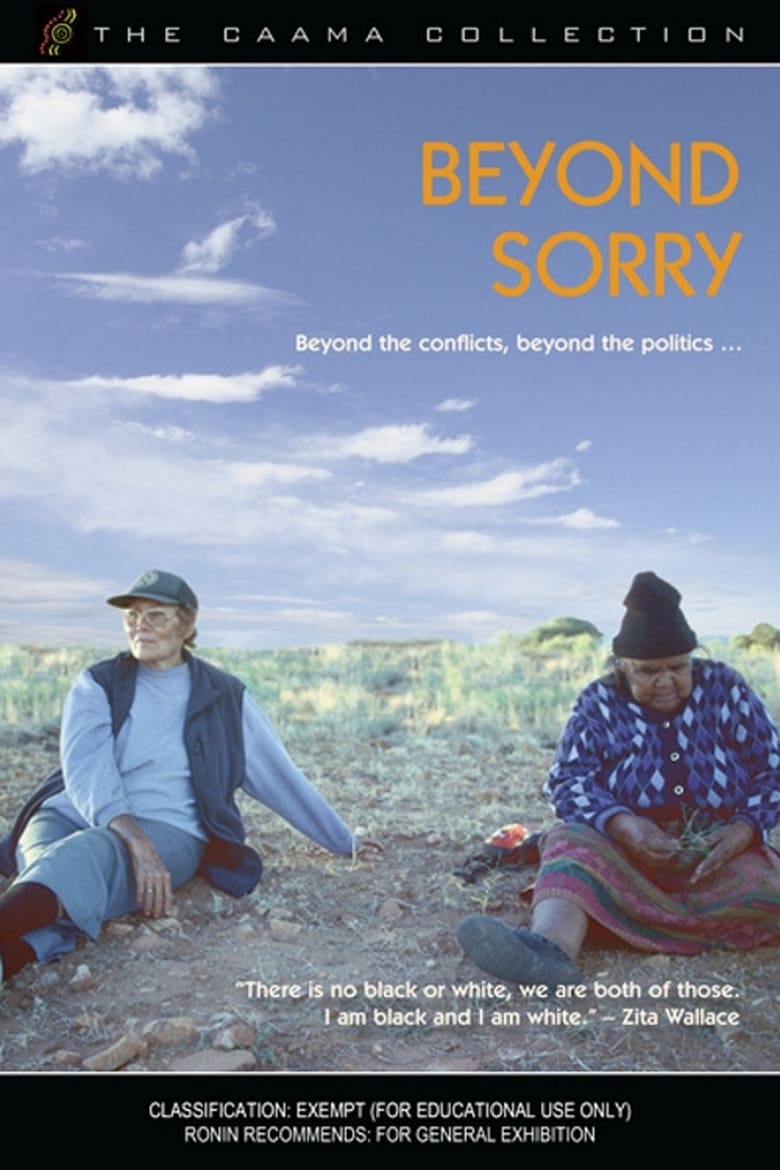 Poster of Beyond Sorry