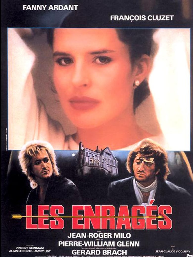 Poster of Les enragés