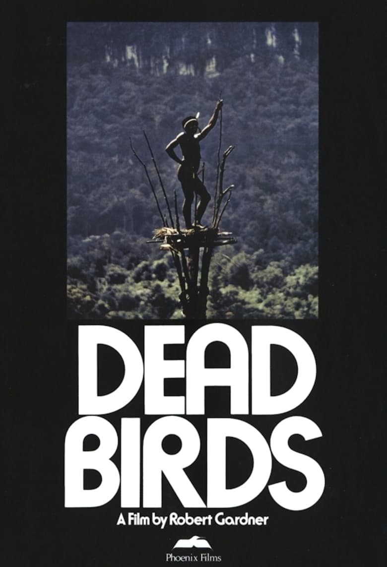 Poster of Dead Birds