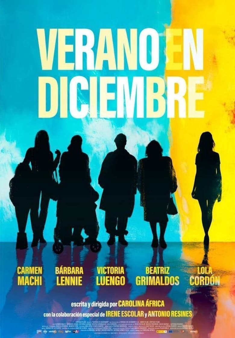 Poster of Verano en diciembre