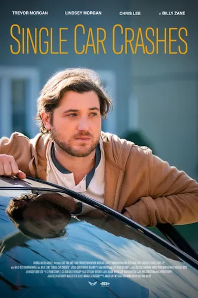 Poster of Single Car Crashes