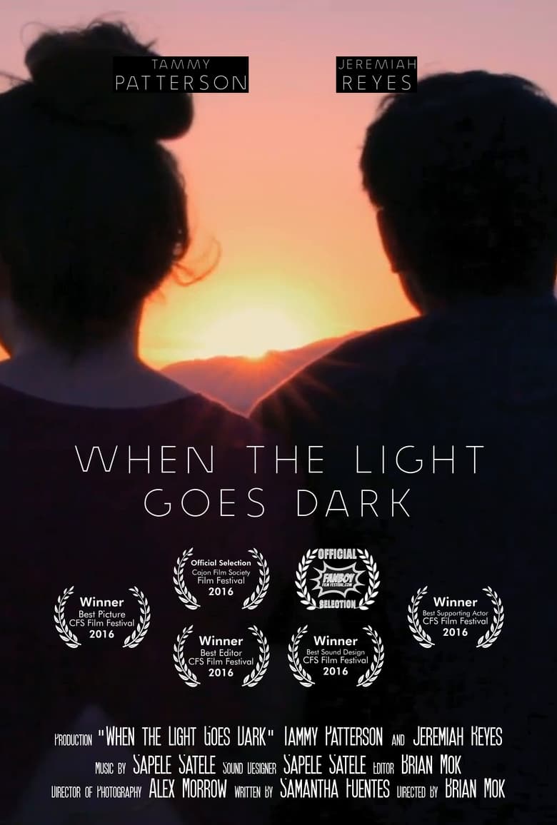 Poster of When the Light Goes Dark