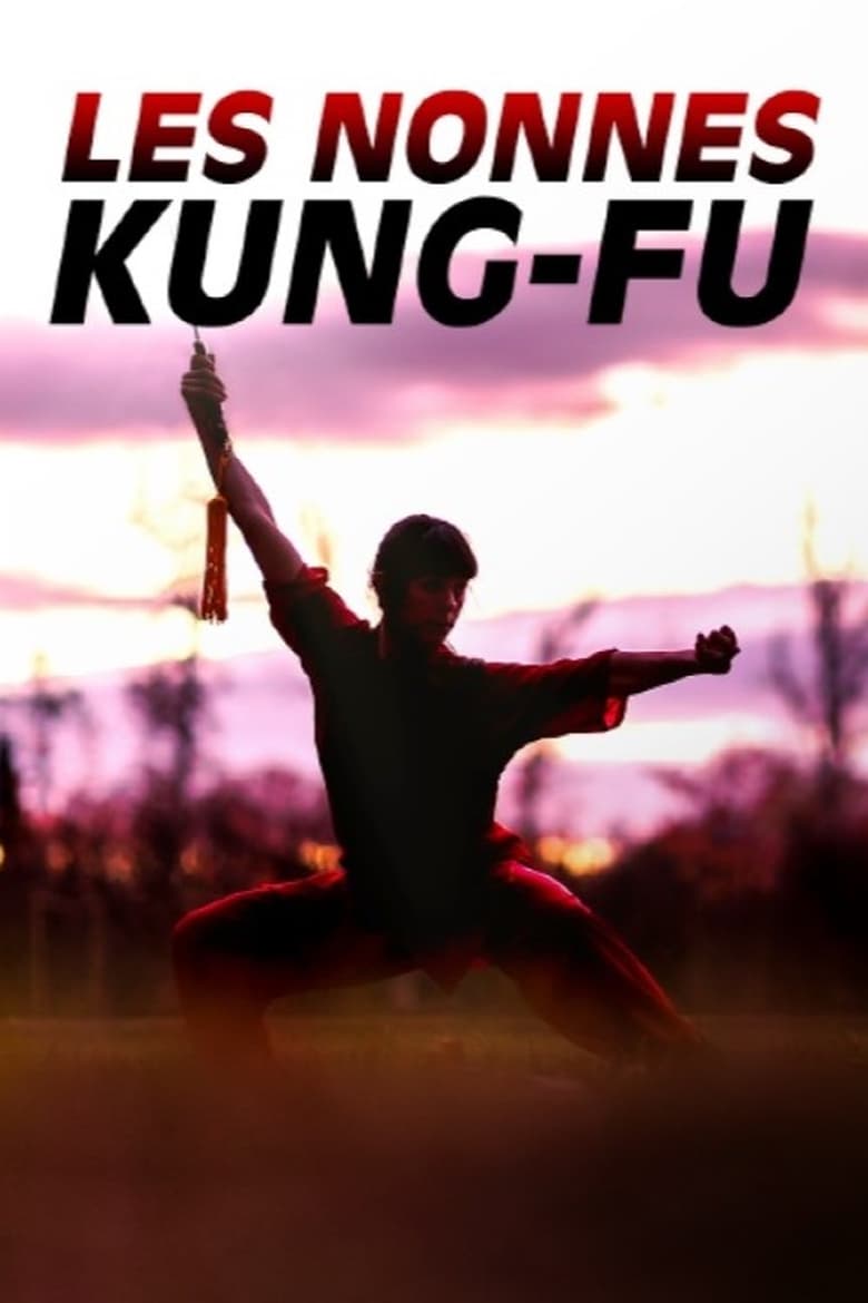 Poster of Les nonnes kung-fu : bouddhistes et féministes