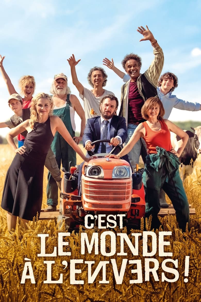 Poster of C'est le monde à l'envers !