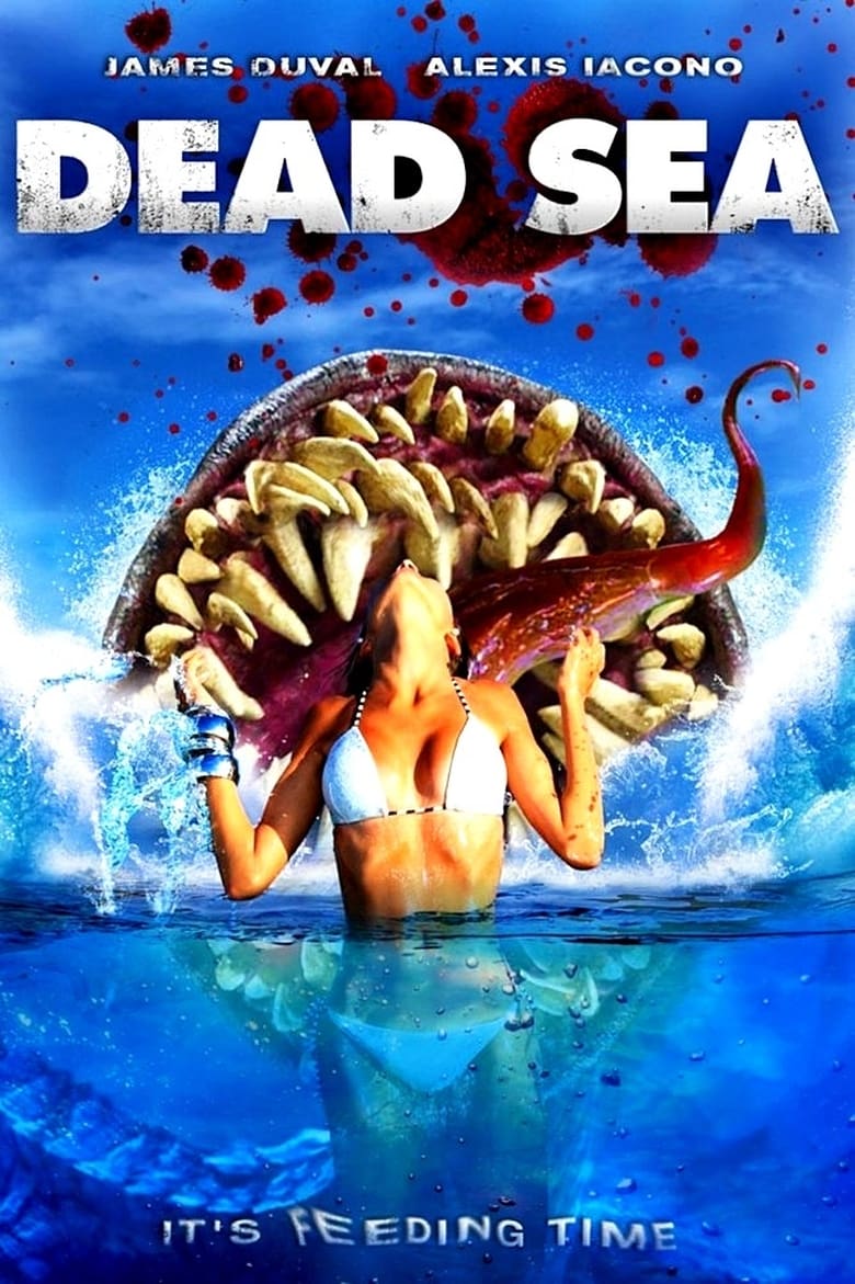 Poster of Dead Sea