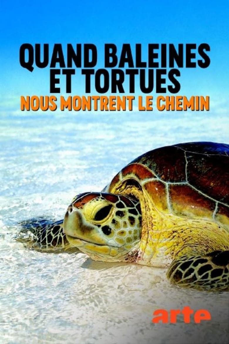 Poster of Quand baleines et tortues nous montrent le chemin