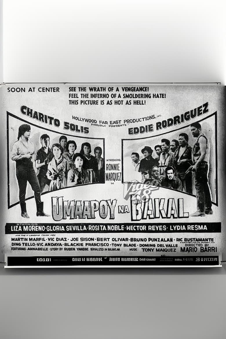 Poster of Umaapoy na Bakal