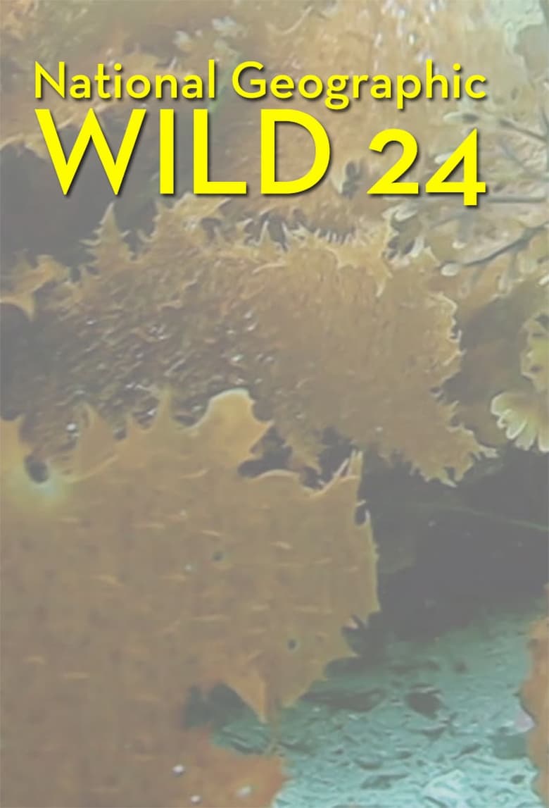 Poster of Wild 24