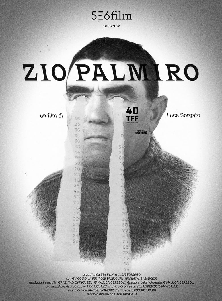 Poster of Zio Palmiro