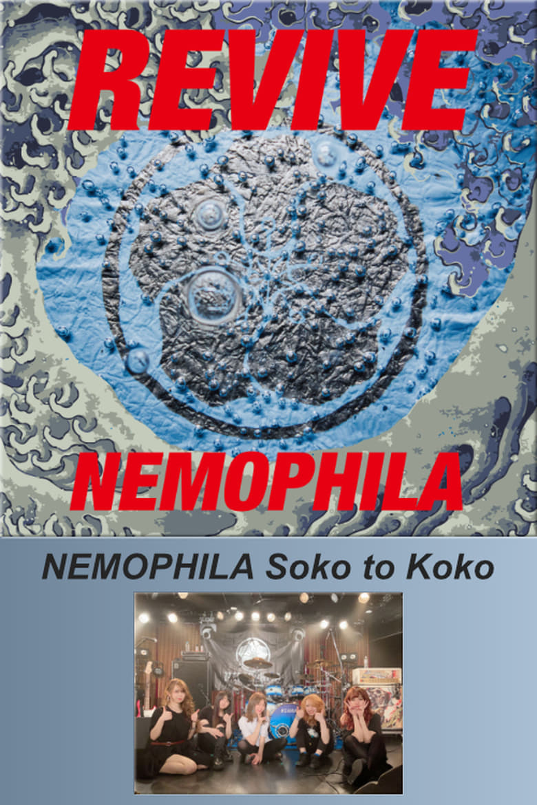 Poster of NEMOPHILA Soko to Koko