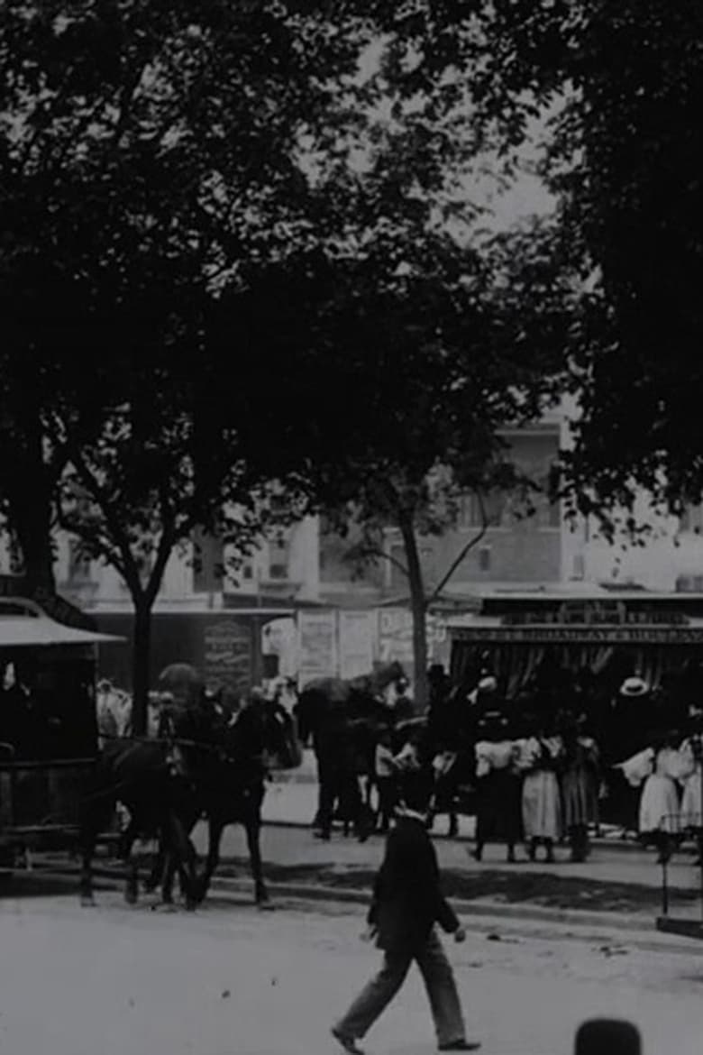 Poster of View on Boulevard, New York City