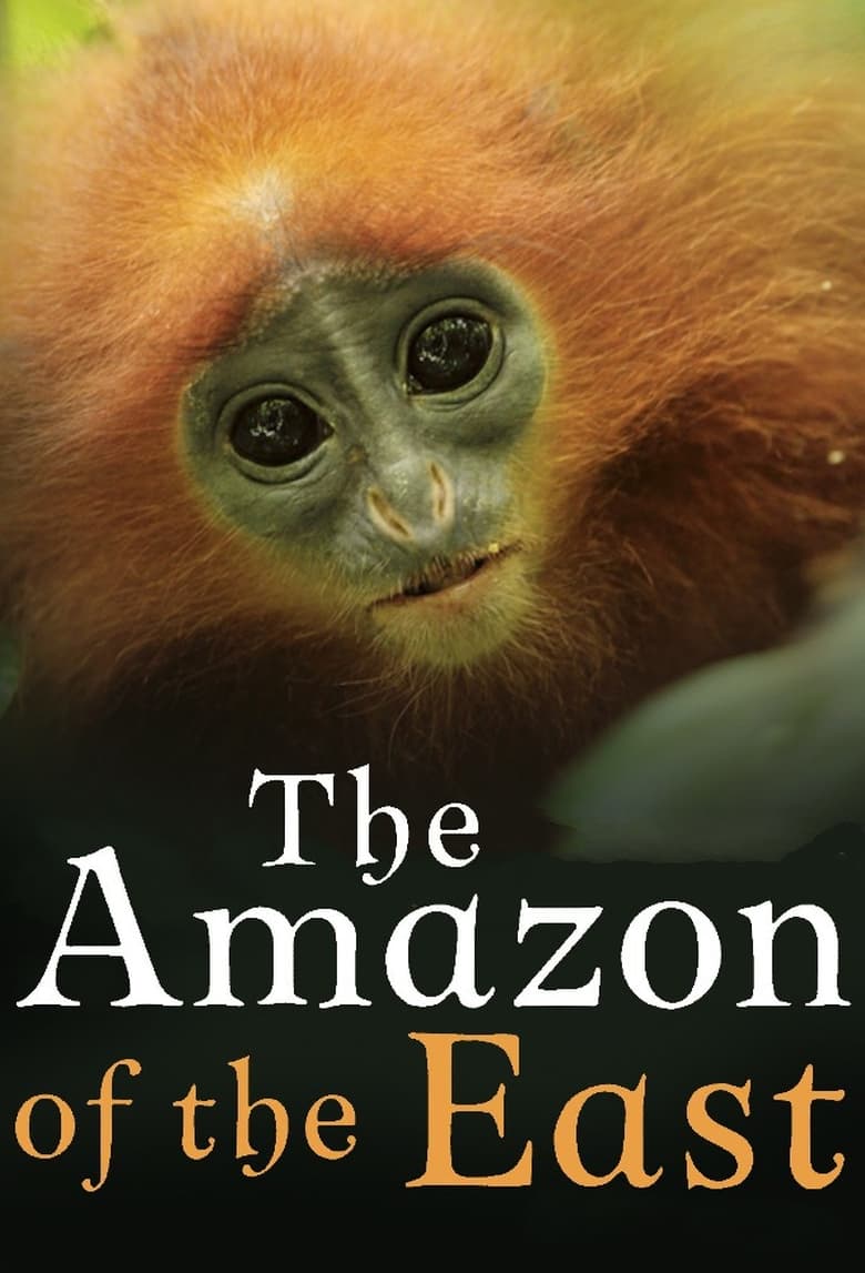 Poster of The Amazon of the East