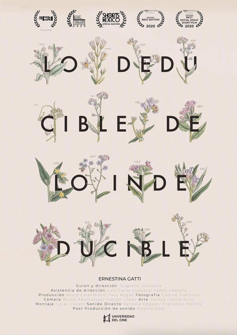 Poster of Lo deducible de lo indeducible