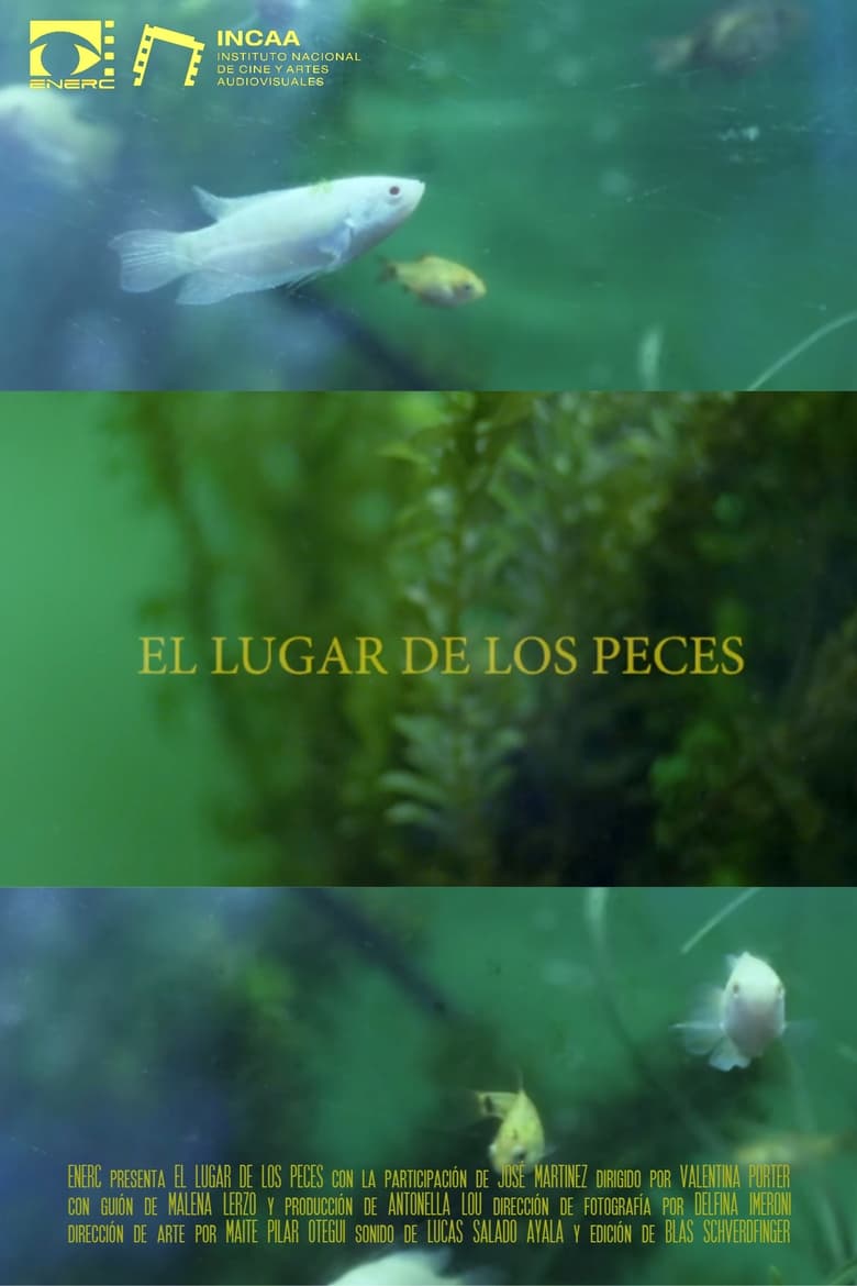 Poster of El Lugar de los Peces