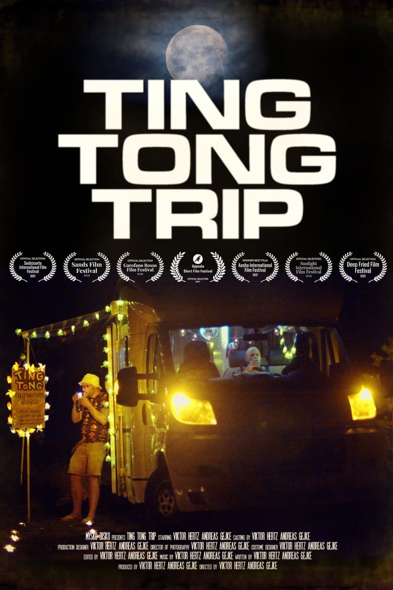 Poster of Mysko Disko: Ting Tong Trip