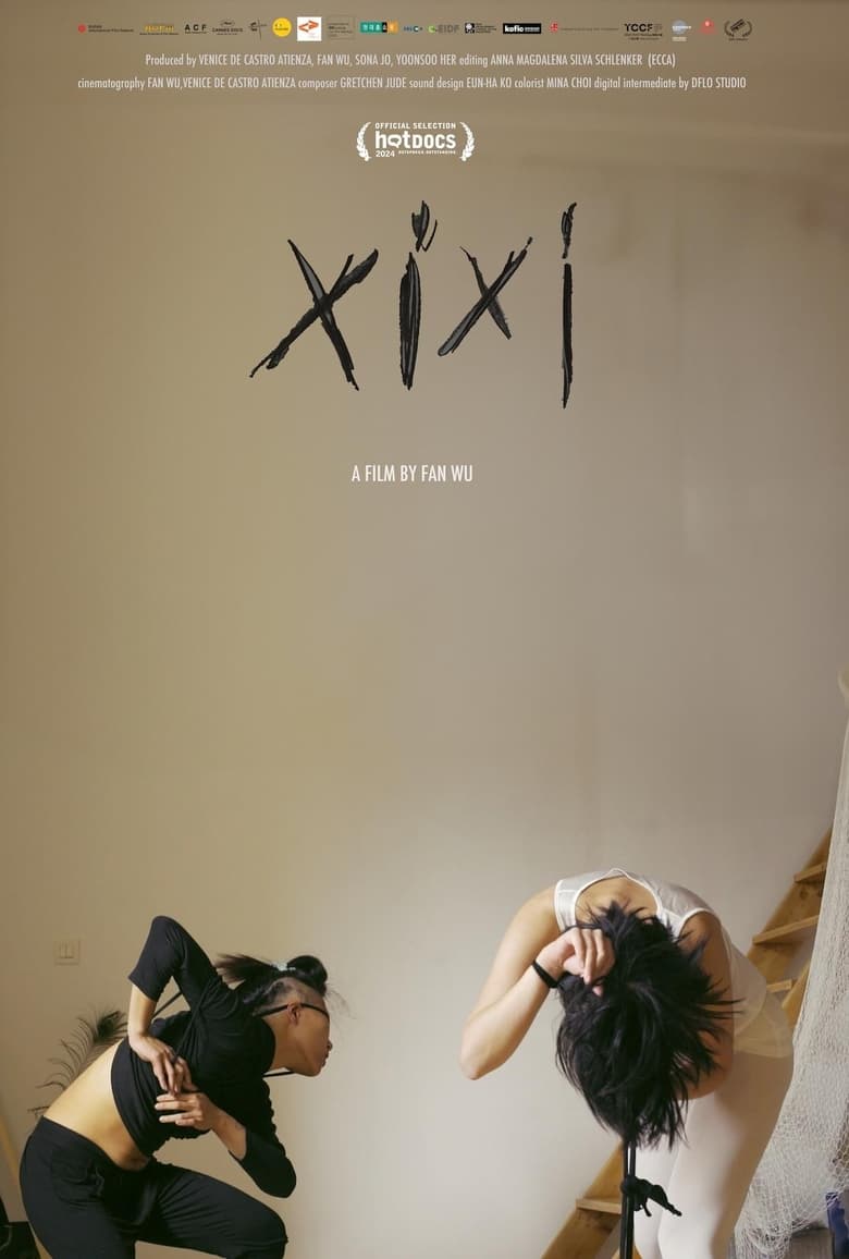 Poster of XiXi