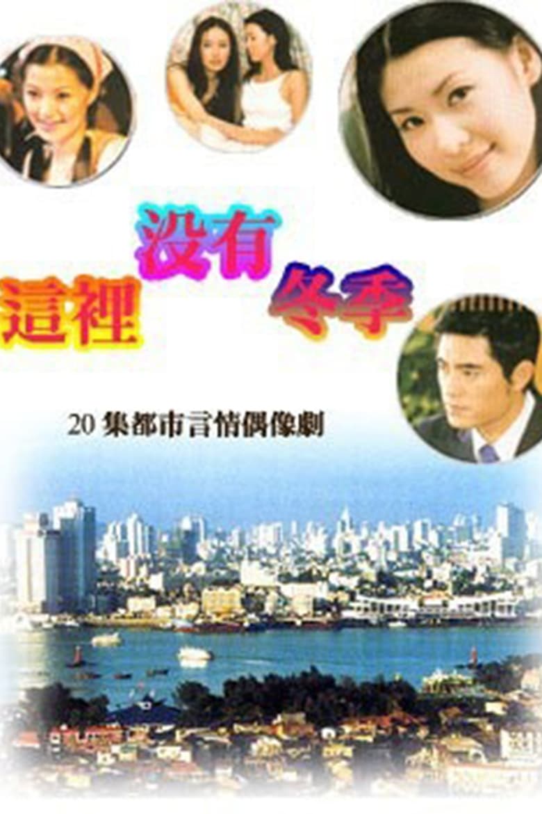 Poster of 这里没有冬季