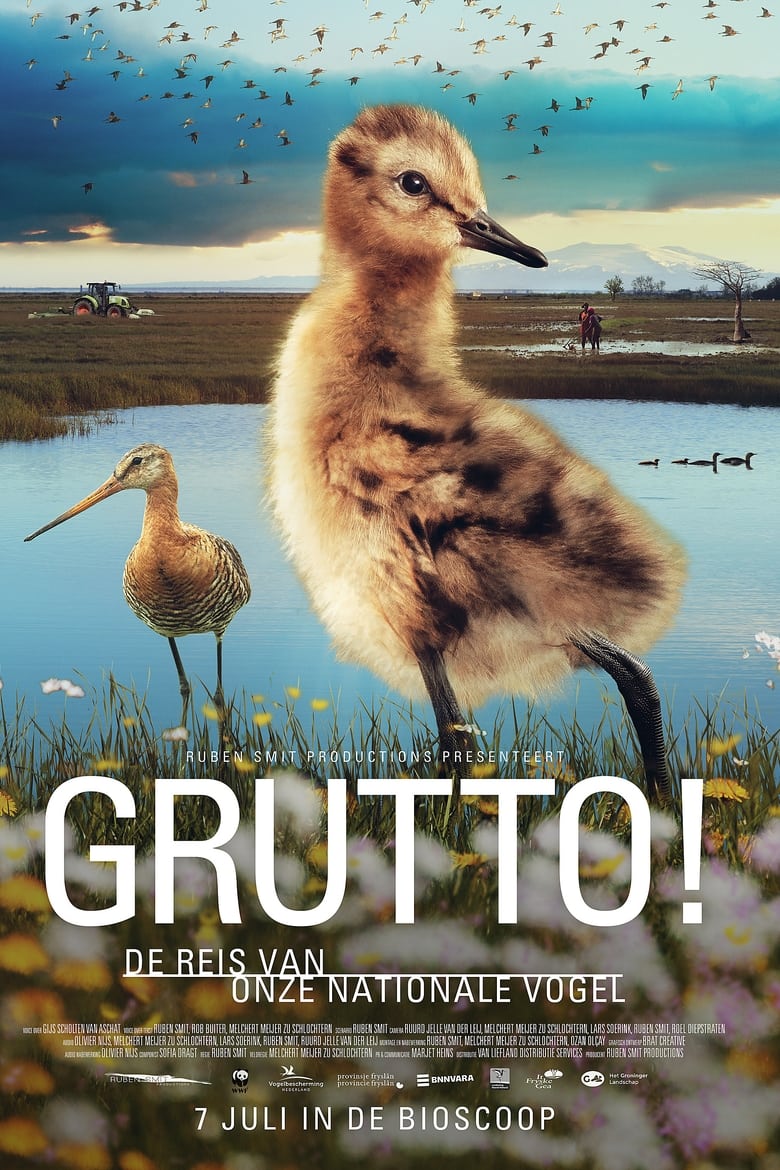 Poster of Grutto! De reis van onze nationale vogel