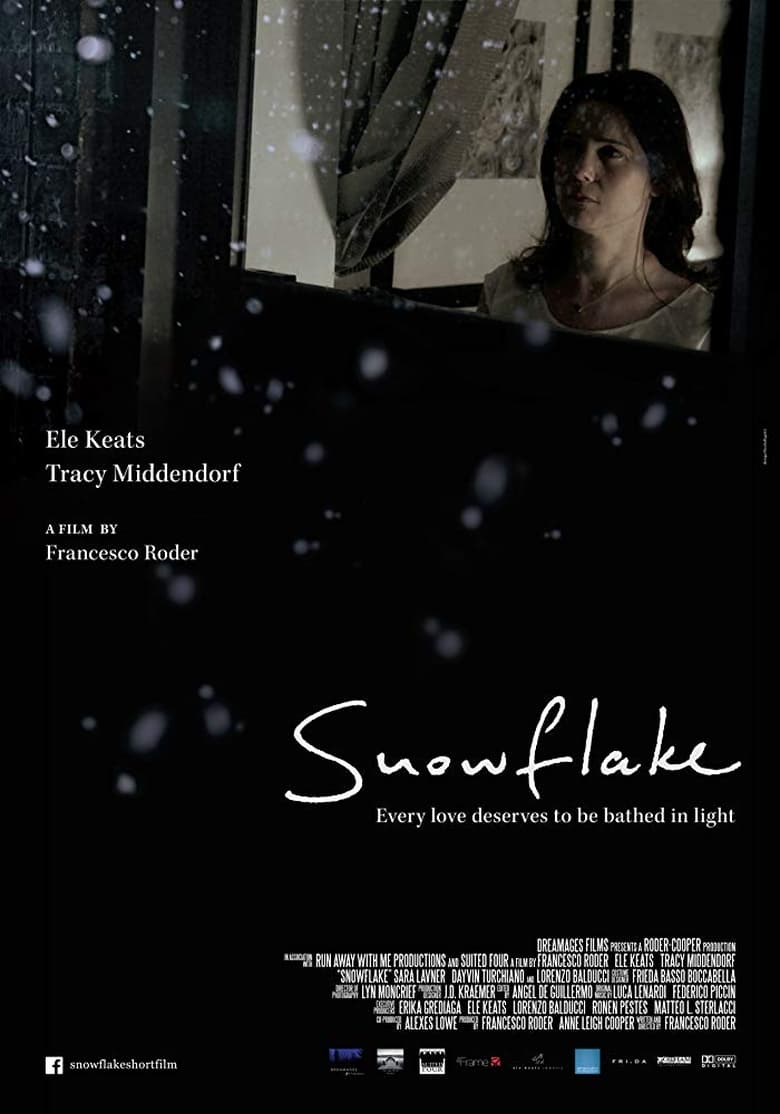 Poster of Snowflake