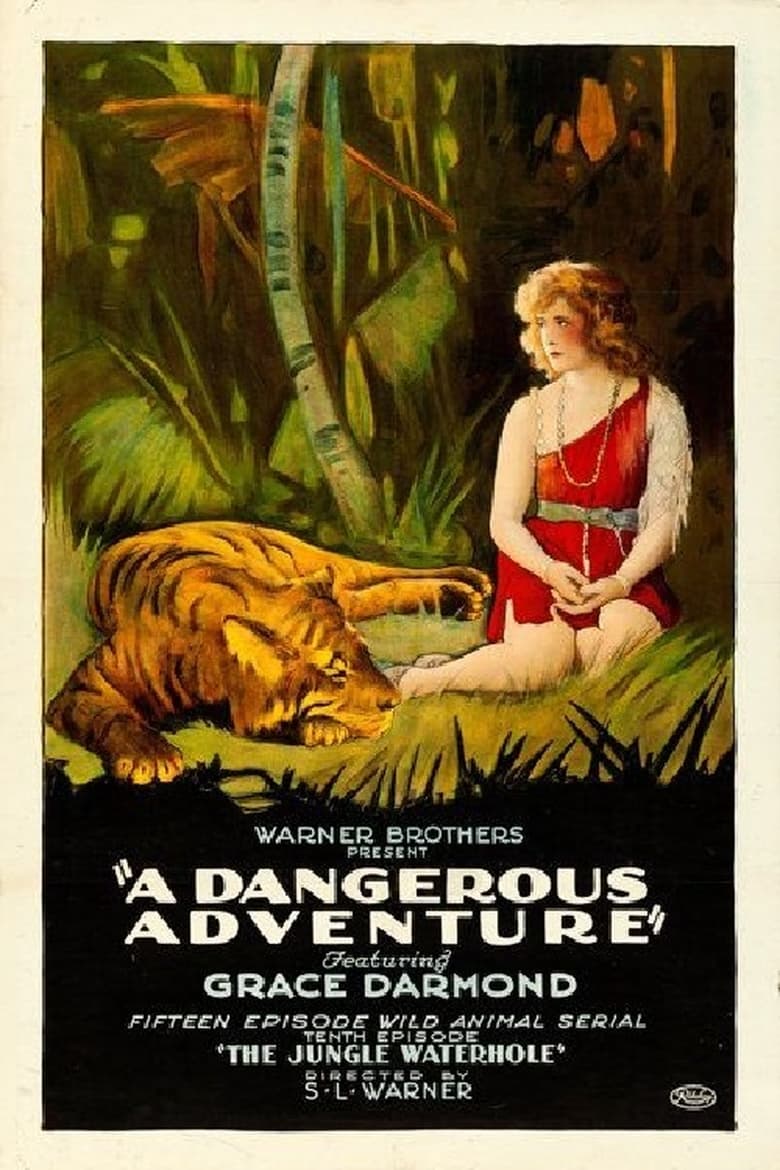 Poster of A Dangerous Adventure