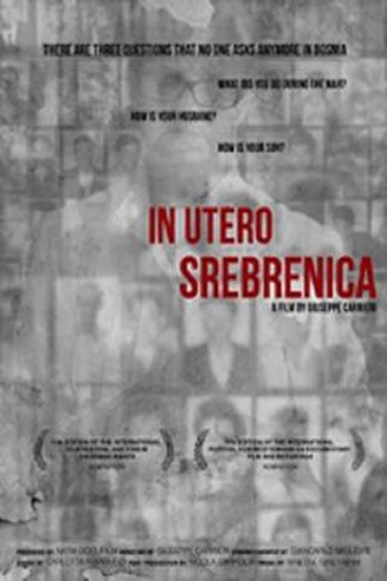 Poster of In utero Srebrenica