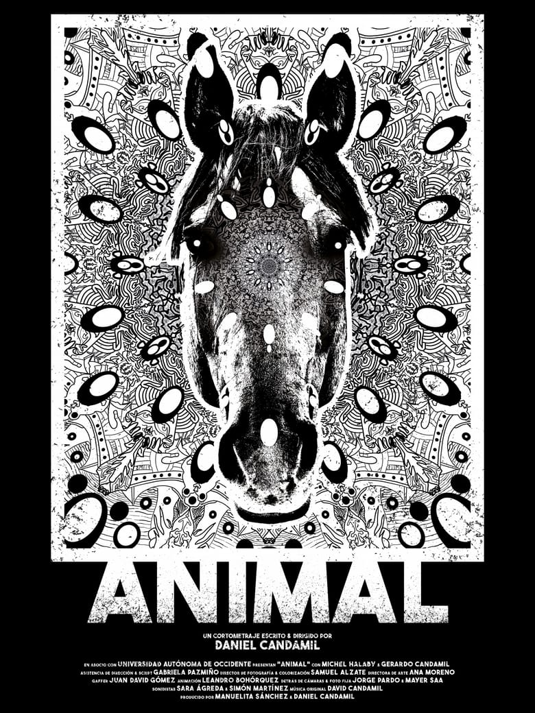 Poster of Animal