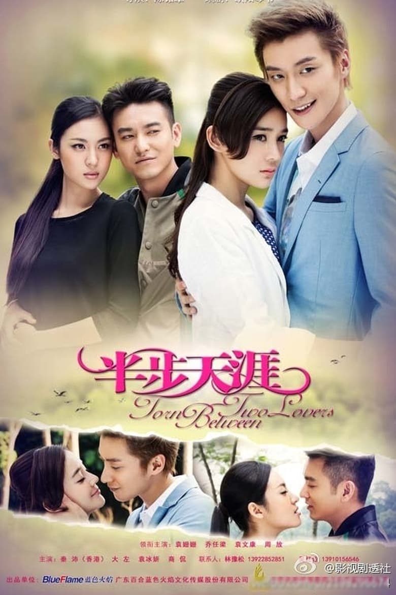 Poster of Torn Between Two Lovers