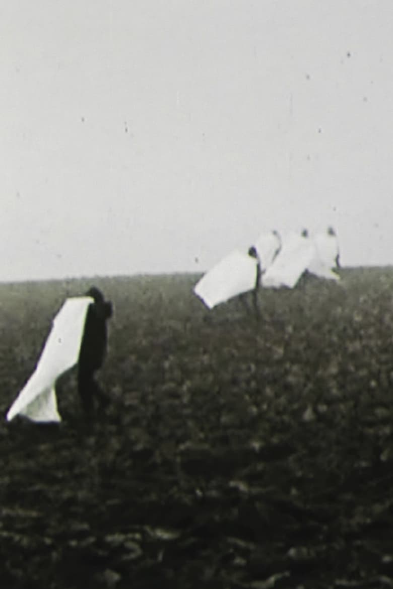 Poster of Landscape for White Squares