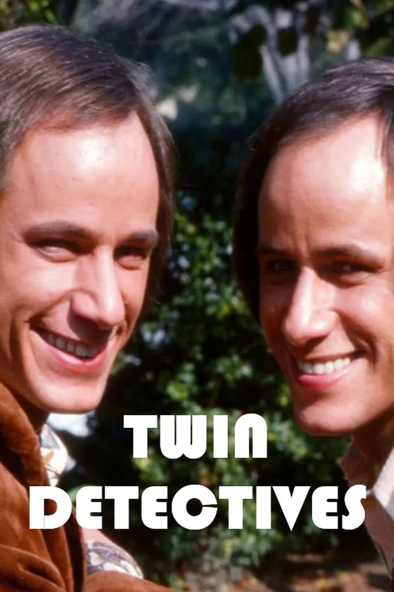 Poster of Twin Detectives