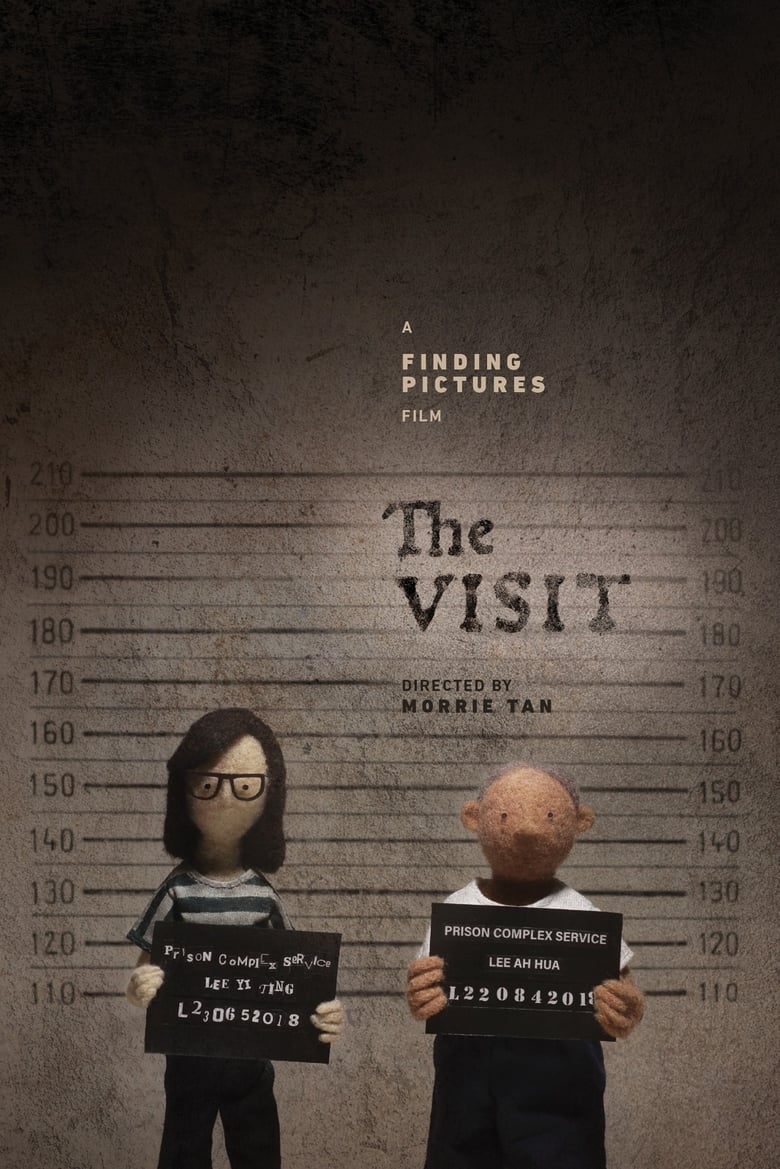 Poster of The Visit