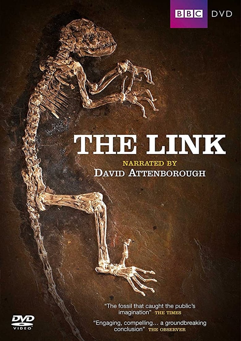 Poster of The Link: Uncovering Our Earliest Ancestor