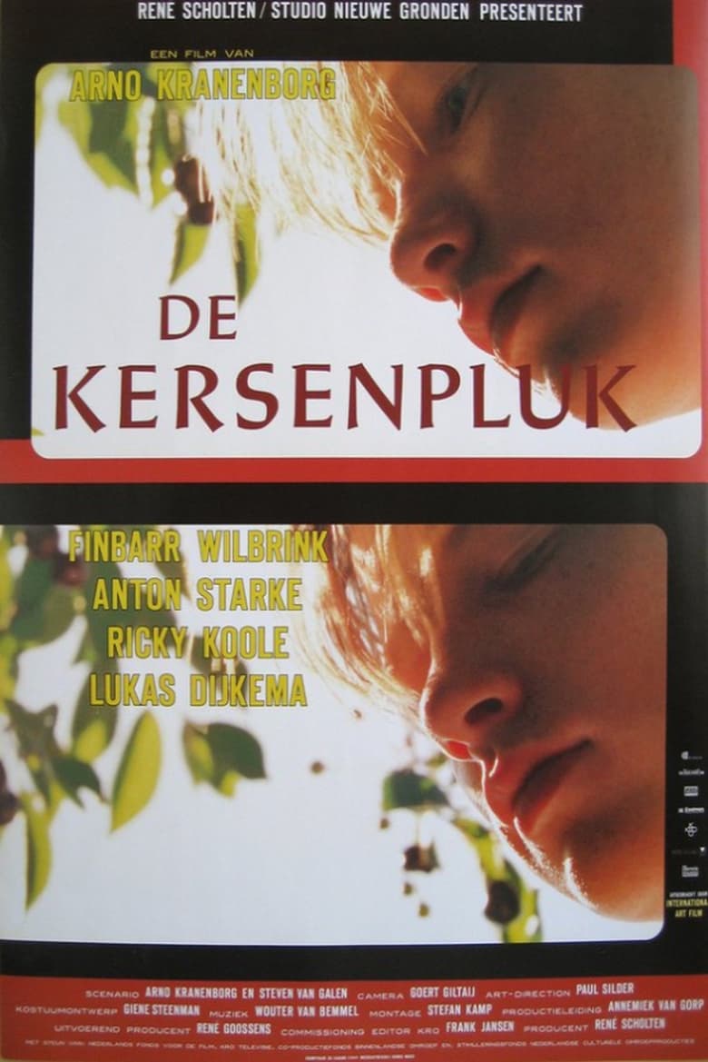 Poster of De kersenpluk