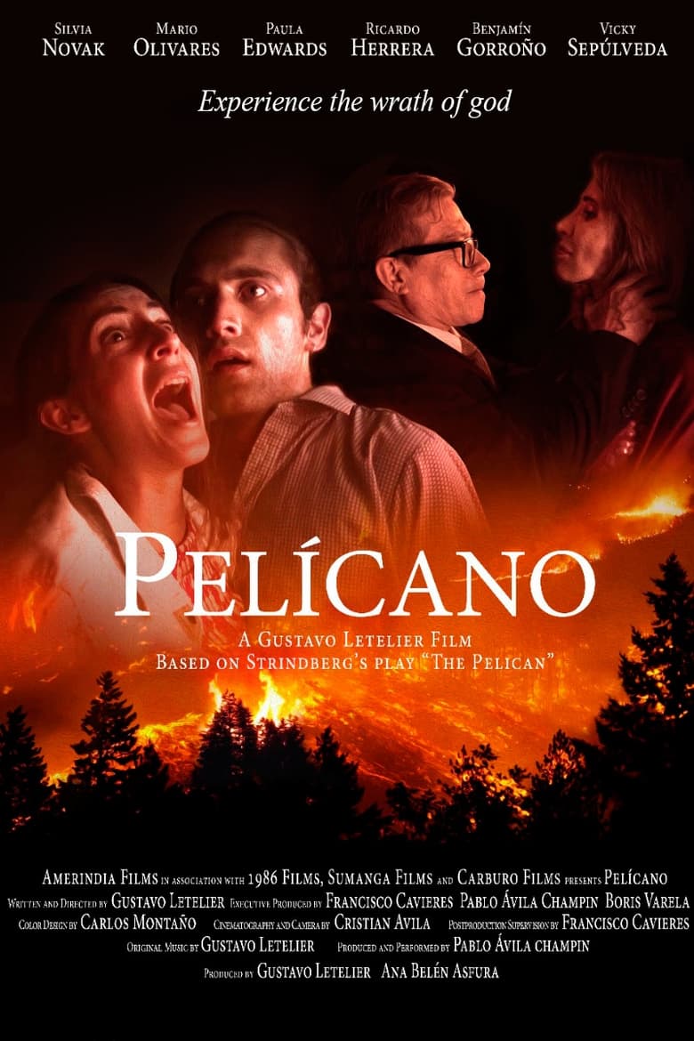 Poster of Pelícano