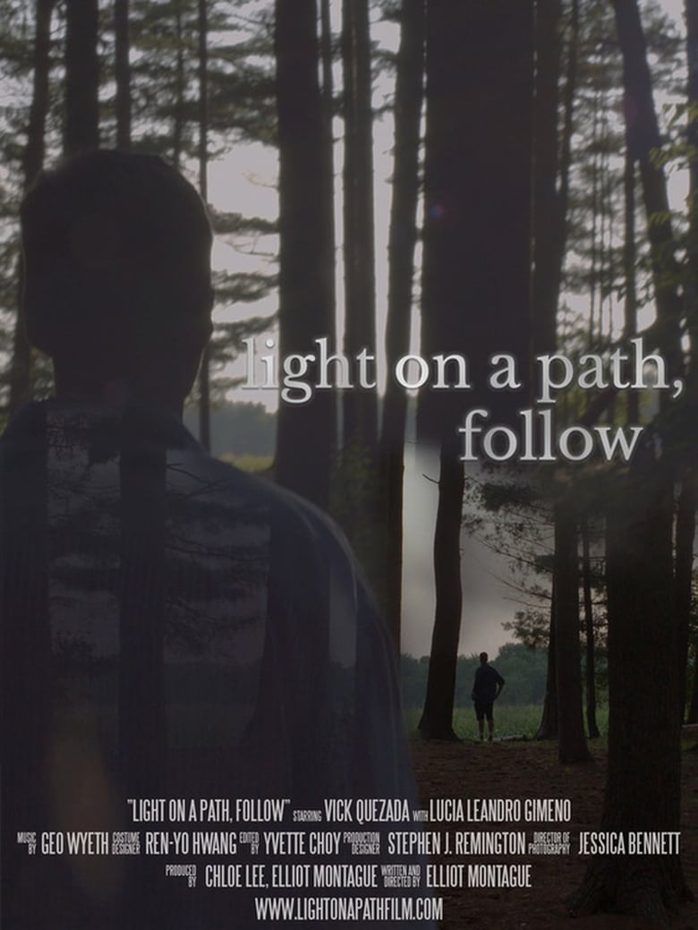 Poster of Light on a Path, Follow