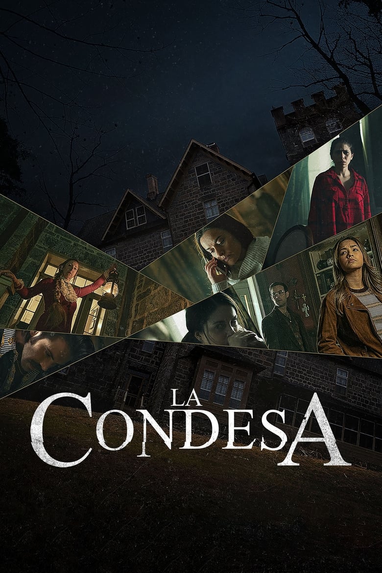 Poster of La Condesa