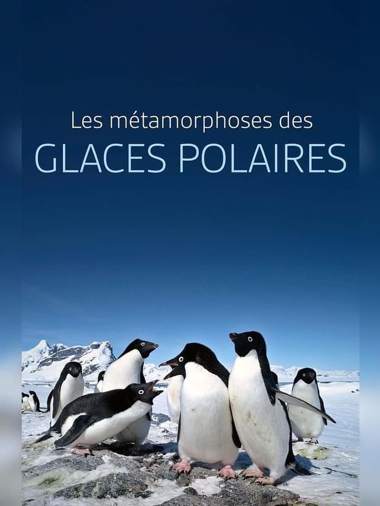 Poster of Les métamorphoses des glaces polaires : Un défi pour les écosystèmes