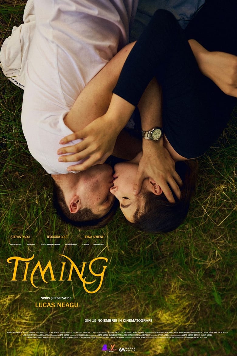 Poster of Timing