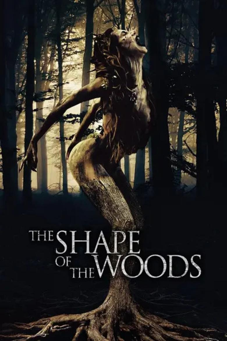 Poster of The Shape of the Woods