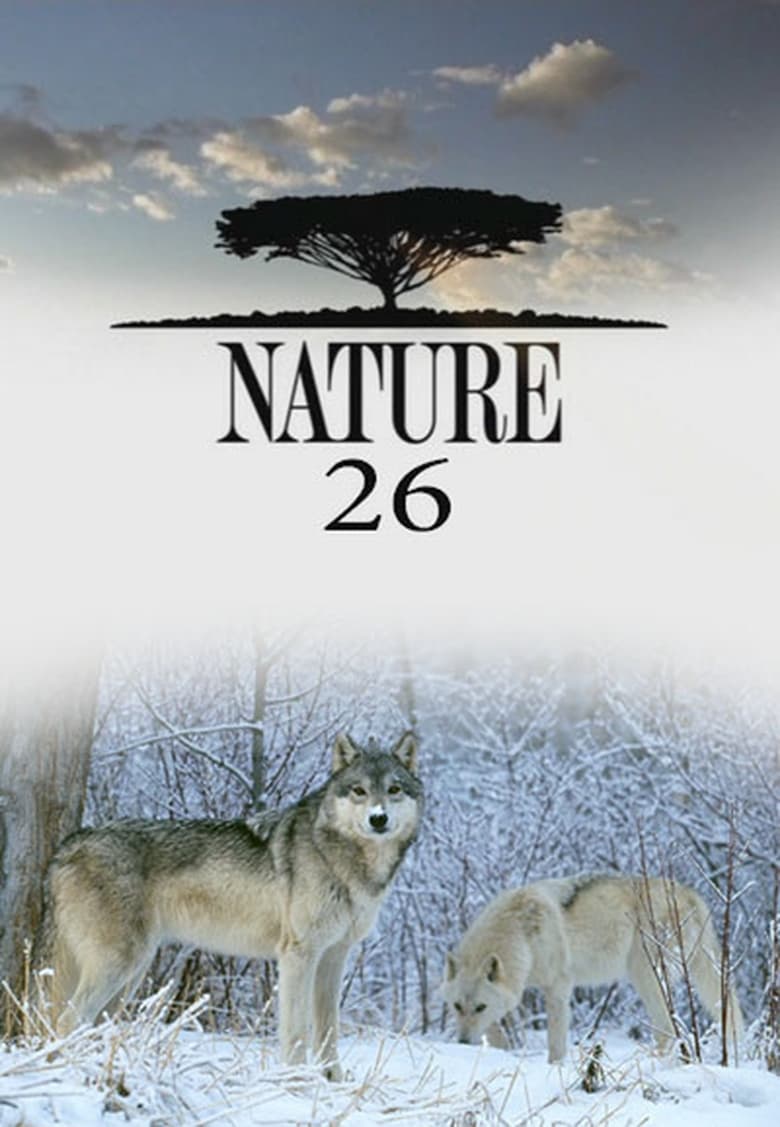 Poster of Cast and Crew in Nature - Season 26 - Episode 5 - The Desert Lions