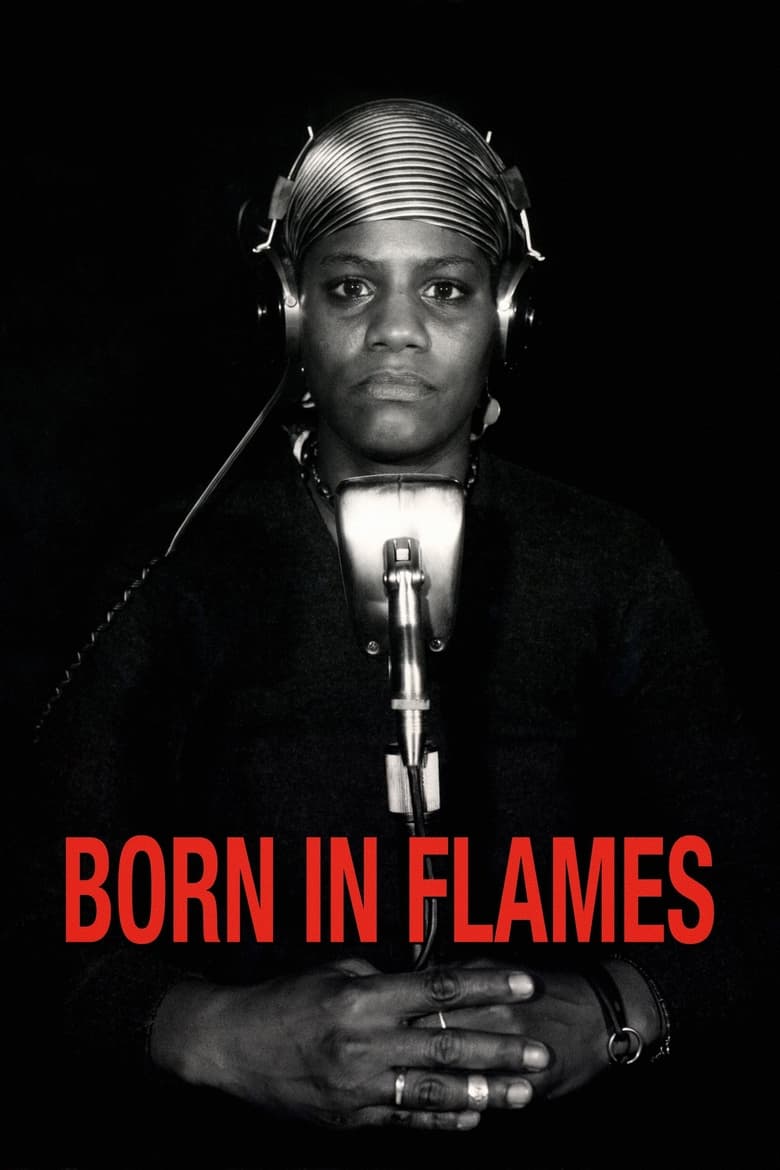 Poster of Born in Flames