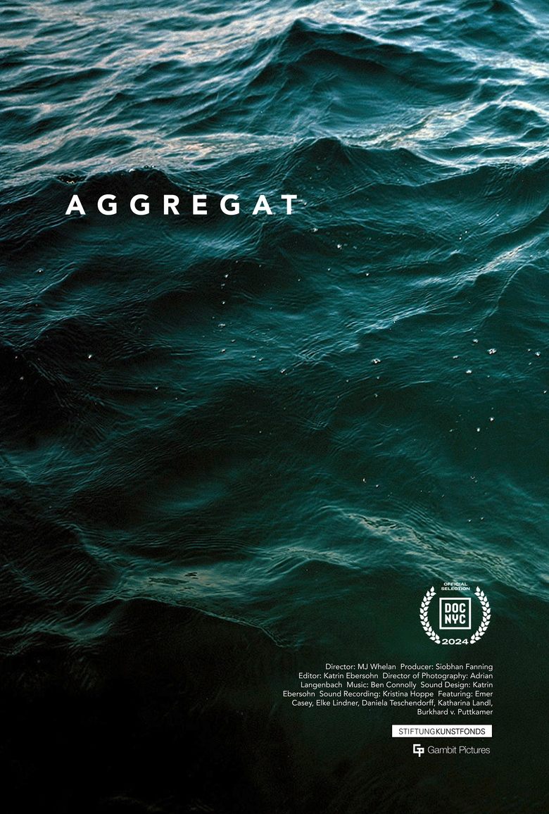 Poster of Aggregat