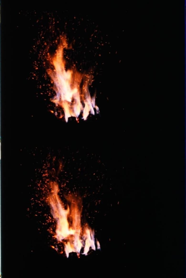 Poster of Fire