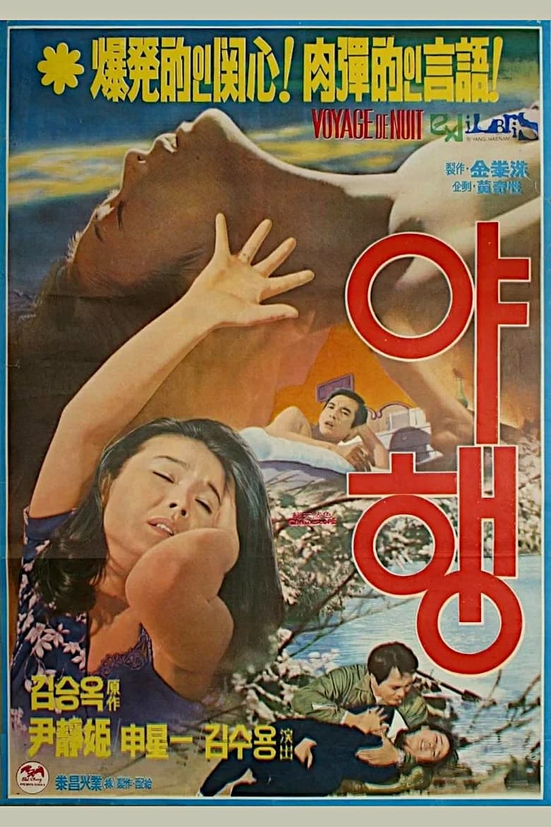 Poster of Night Journey