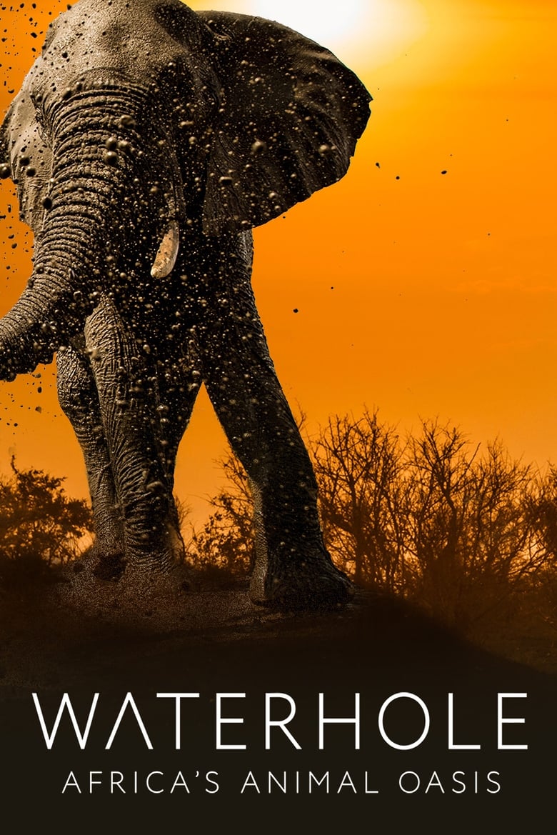 Poster of Waterhole  Africa's Animal Oasis - Season 1 - Episode 3 - Episode 3