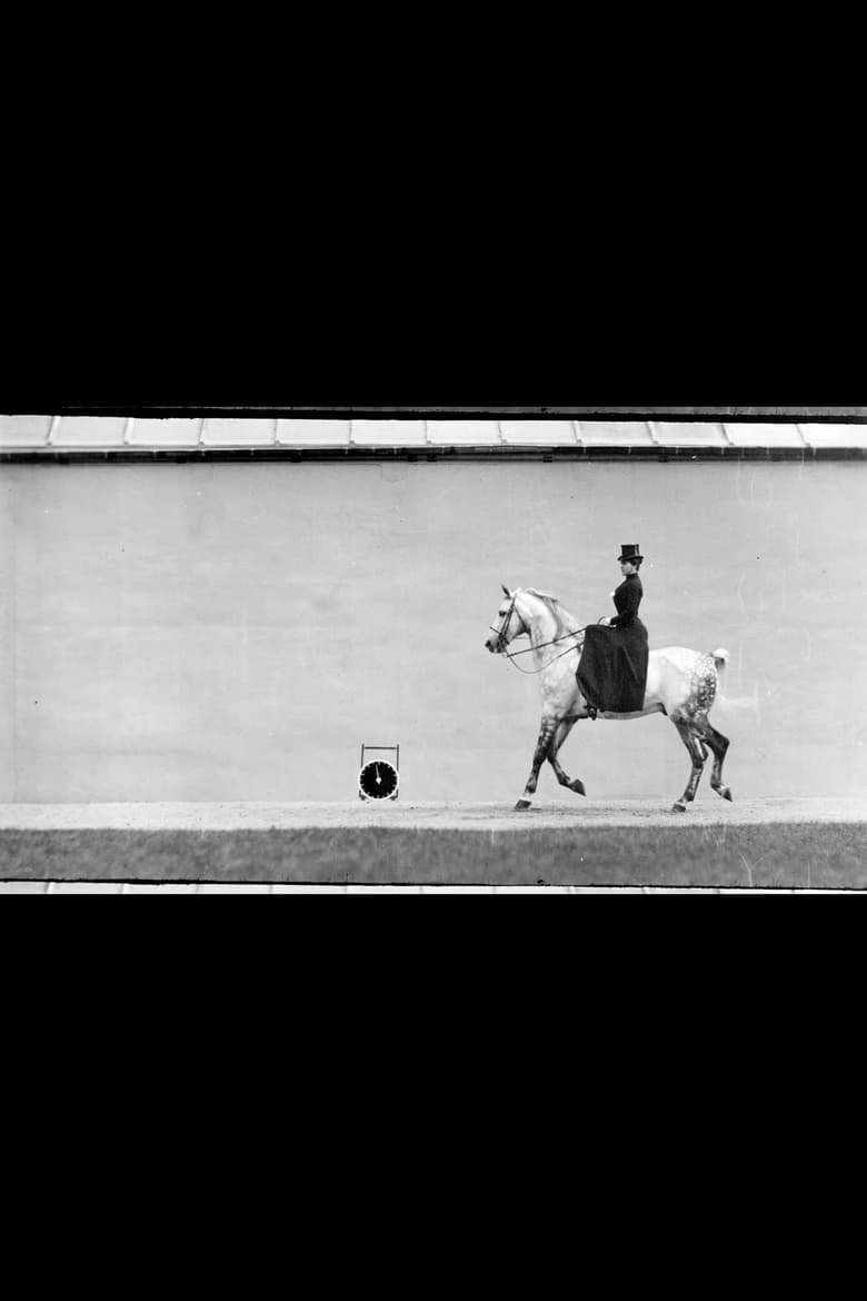 Poster of Bay Horse, Ridden by Thérèse Rentz, Canter