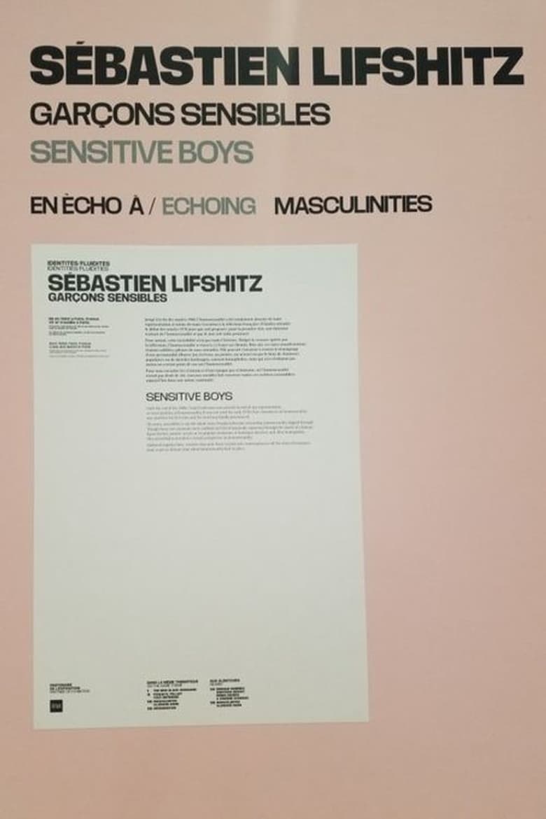 Poster of Sensitive Boys