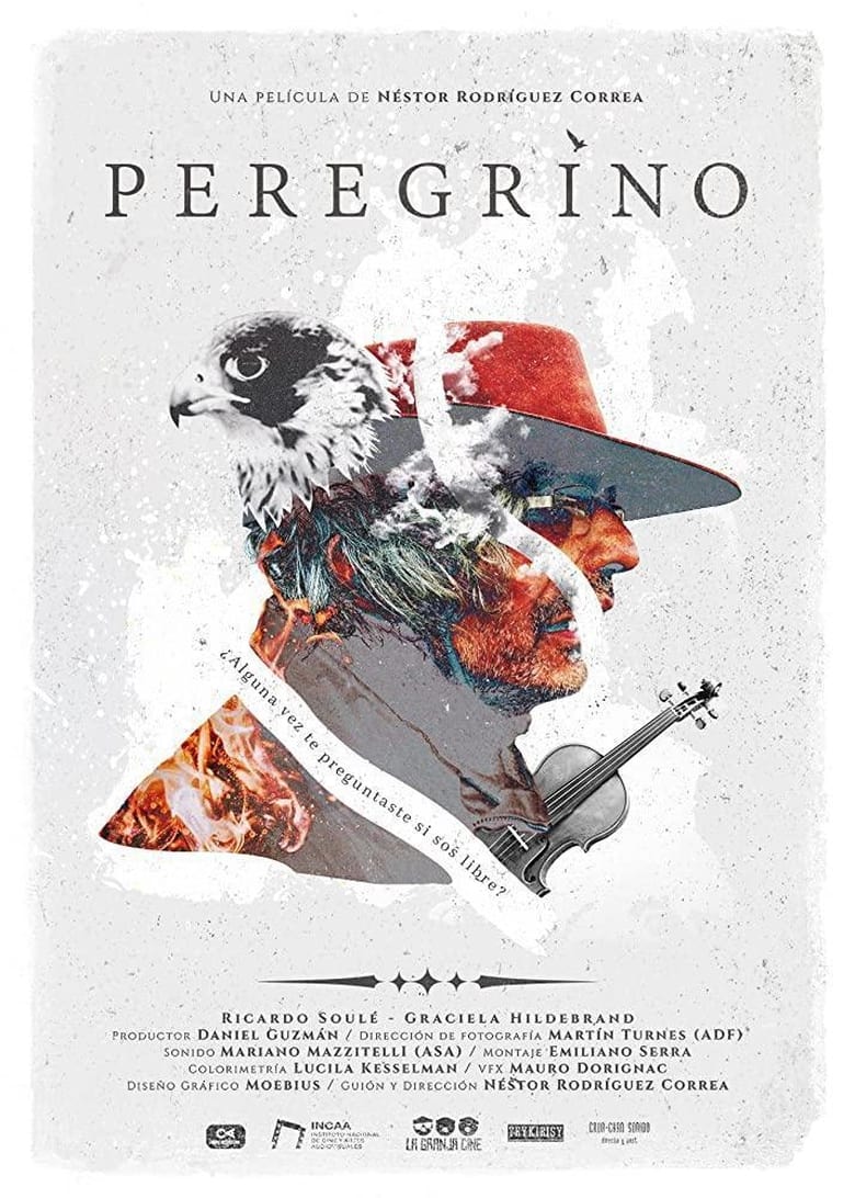 Poster of Peregrino