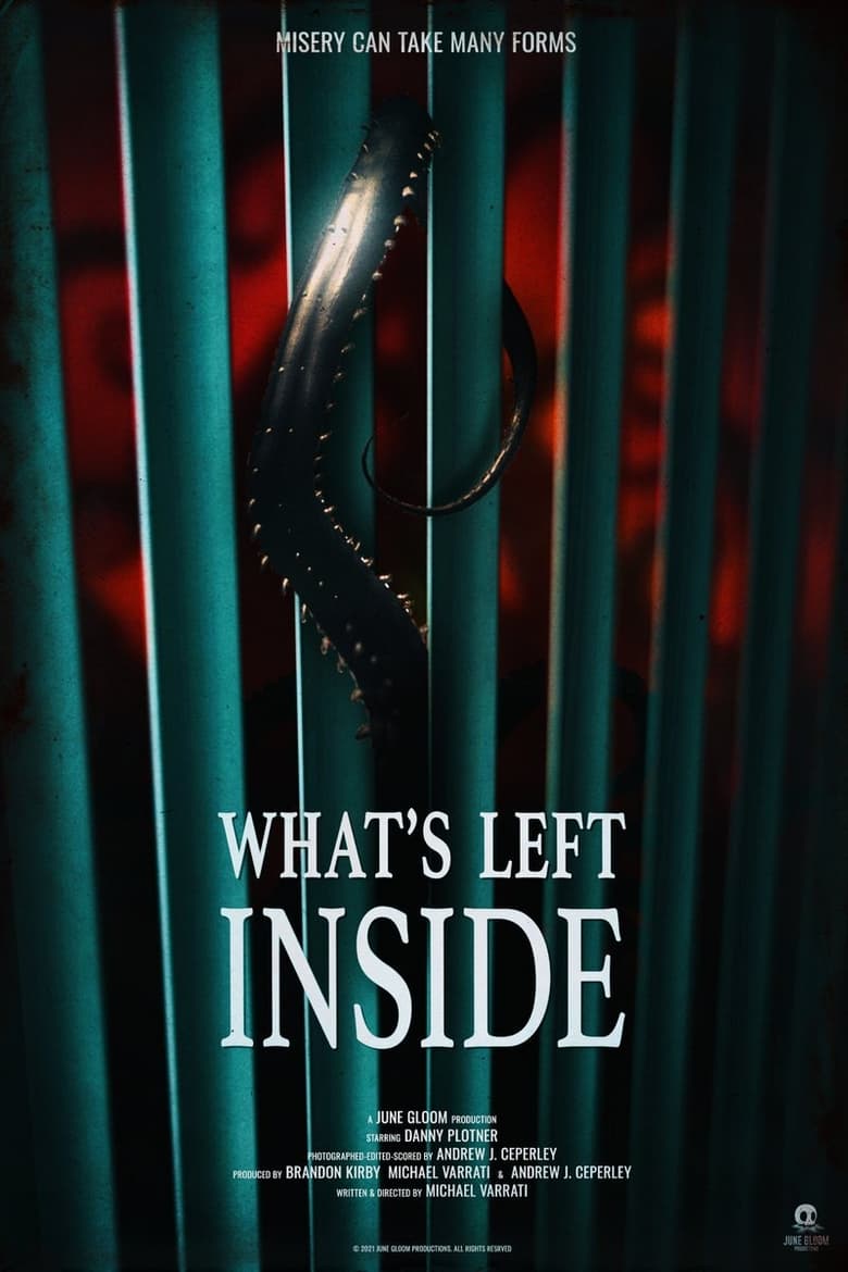 Poster of What's Left Inside